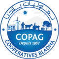 logo-footer
